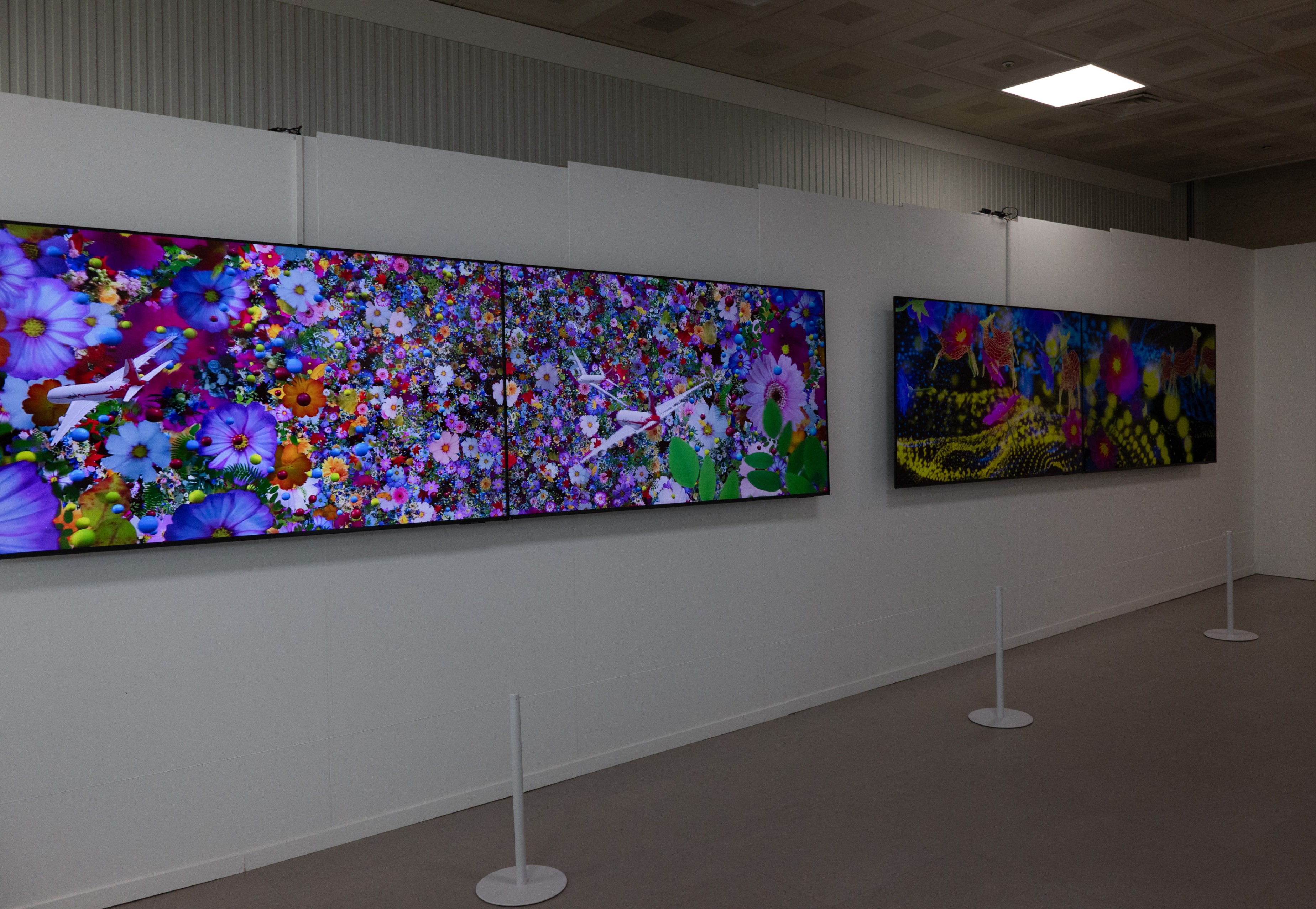 Installation view 2