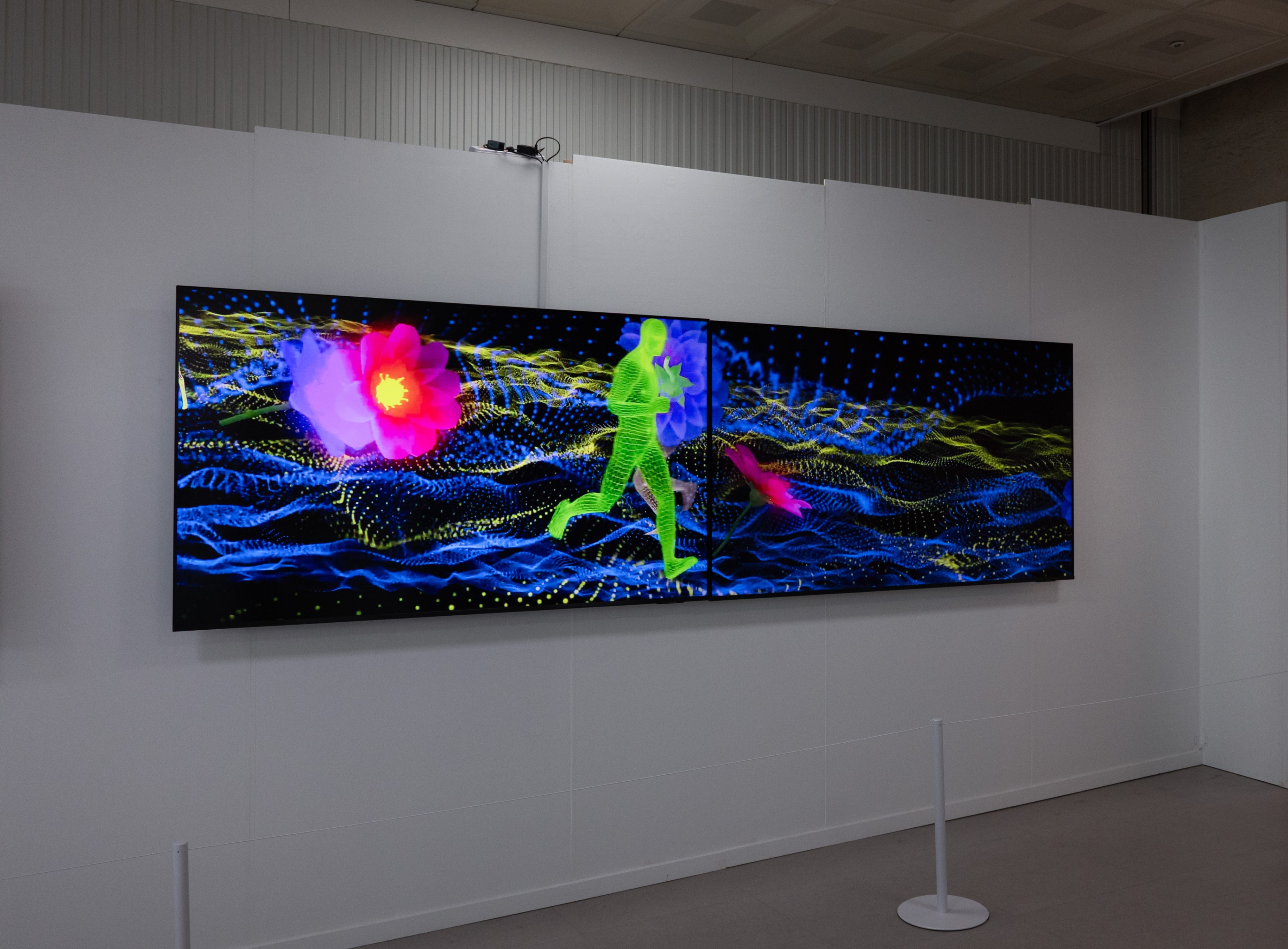 Installation view 3