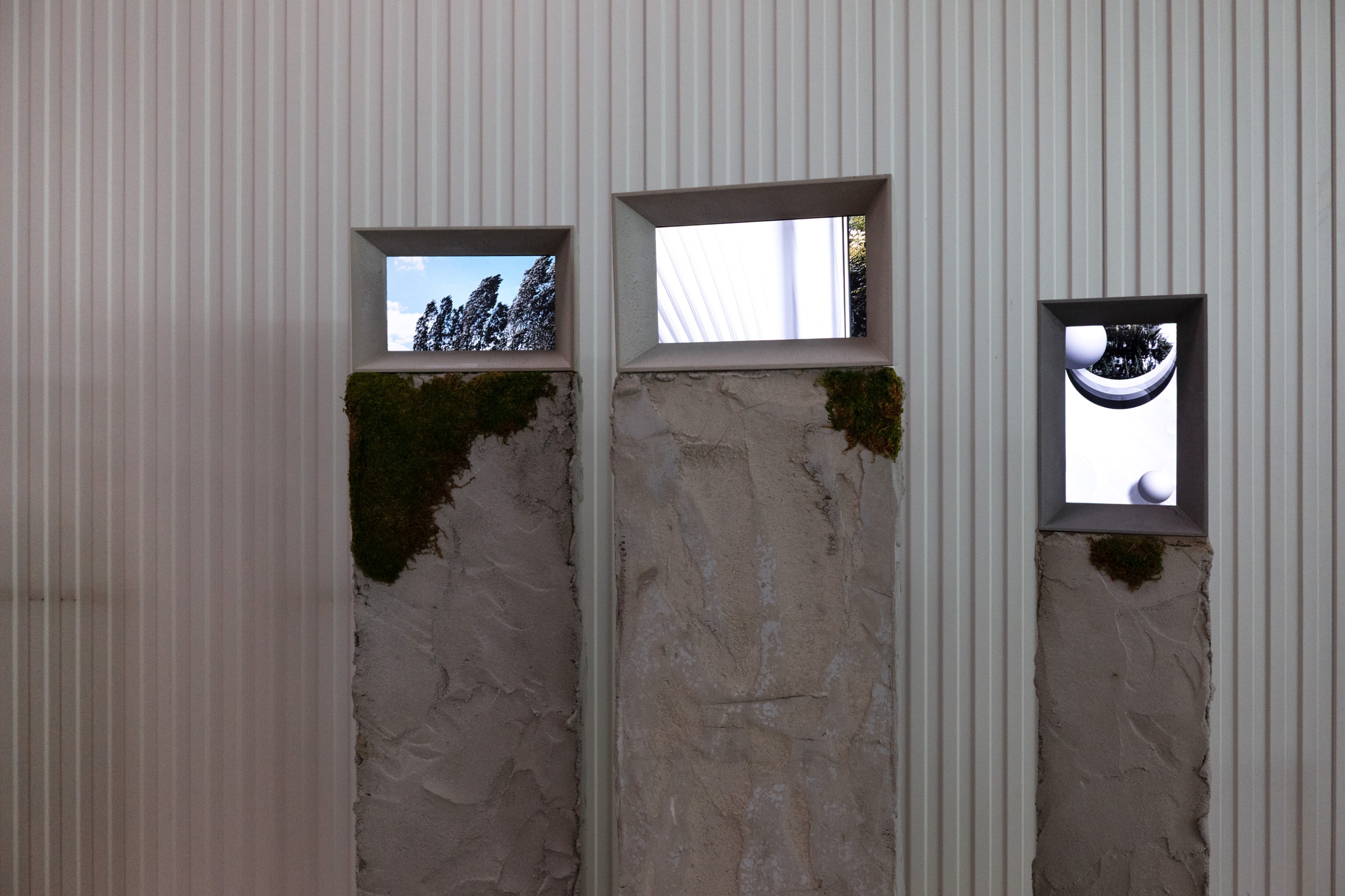 Installation view 4