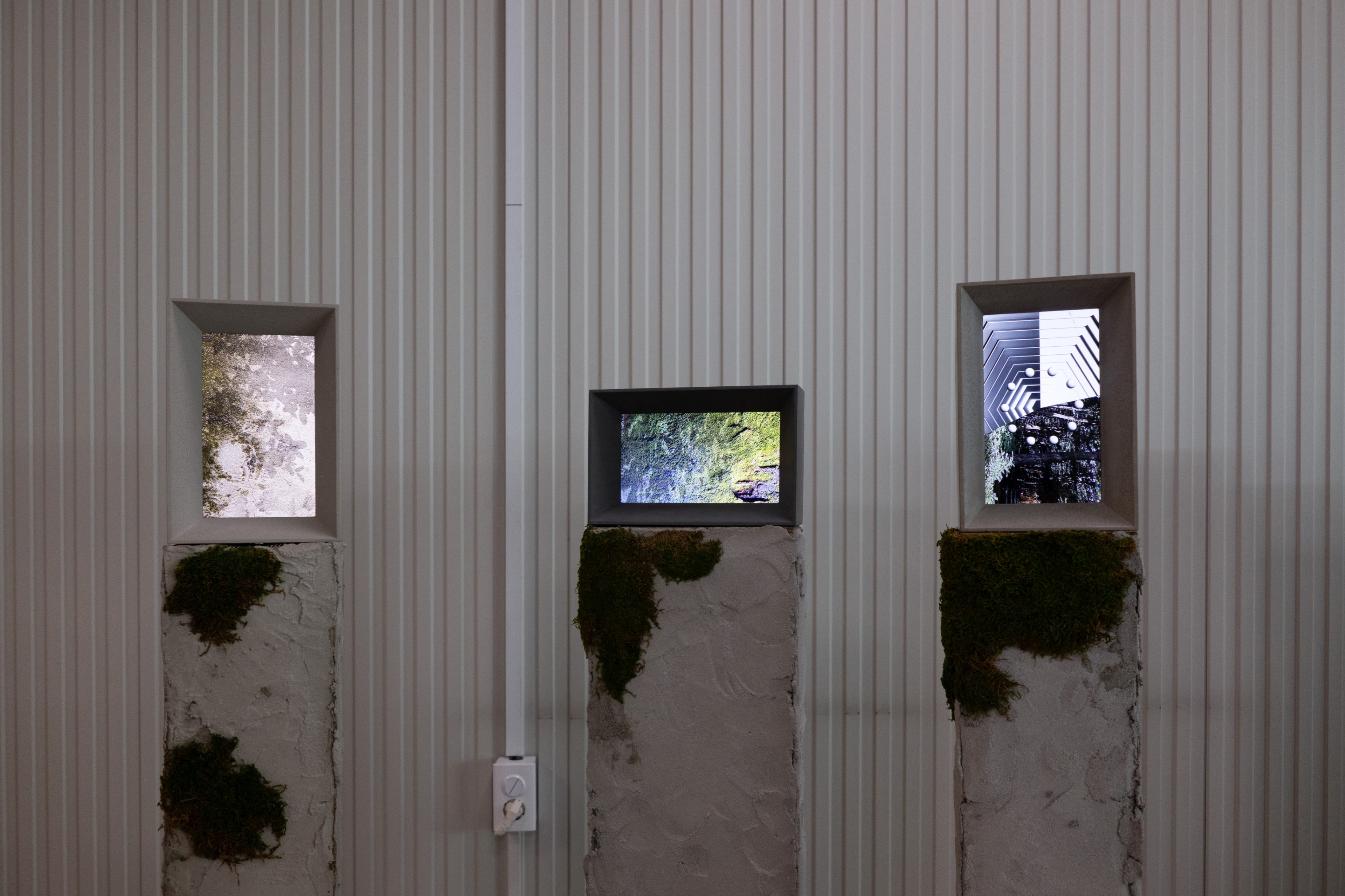 Installation view 5