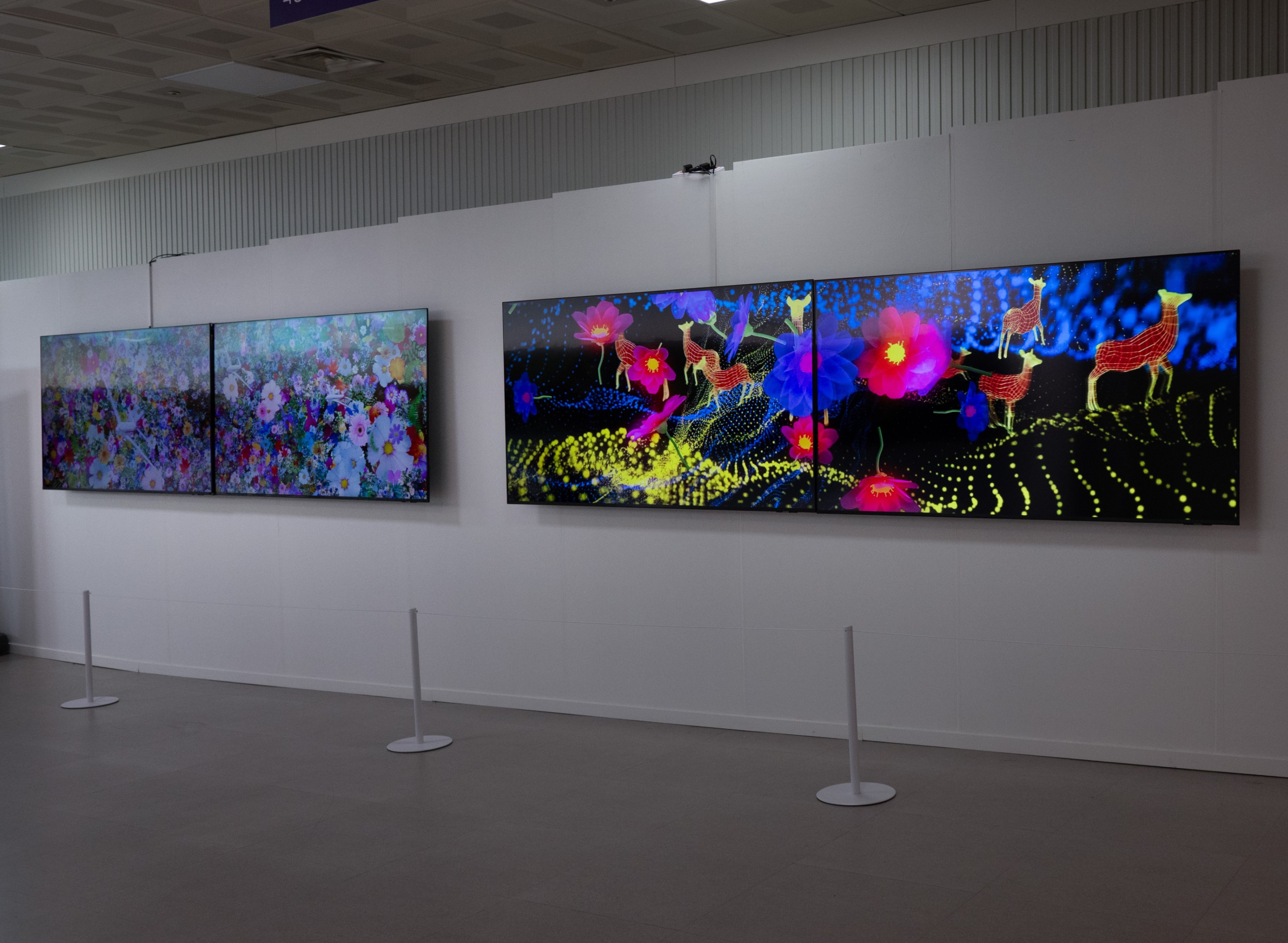 Installation view 8