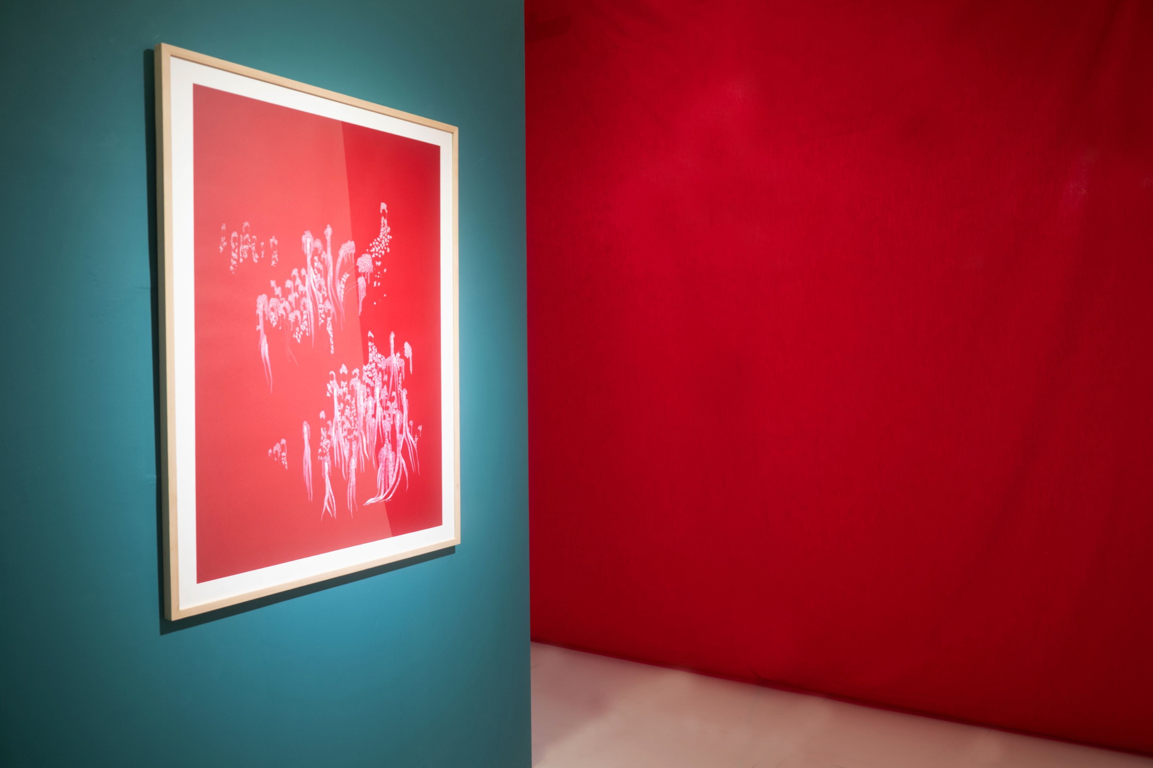 Installation view 10