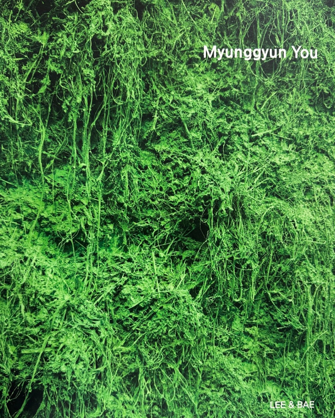 The Petrified Forest